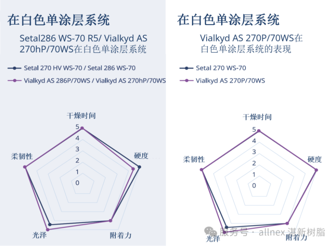 湛新rPET樹脂新品發(fā)布-2024666